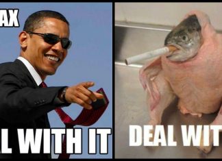 100+ Deal With It Memes That Are So True 90+ Deal With It Memes That Are So True